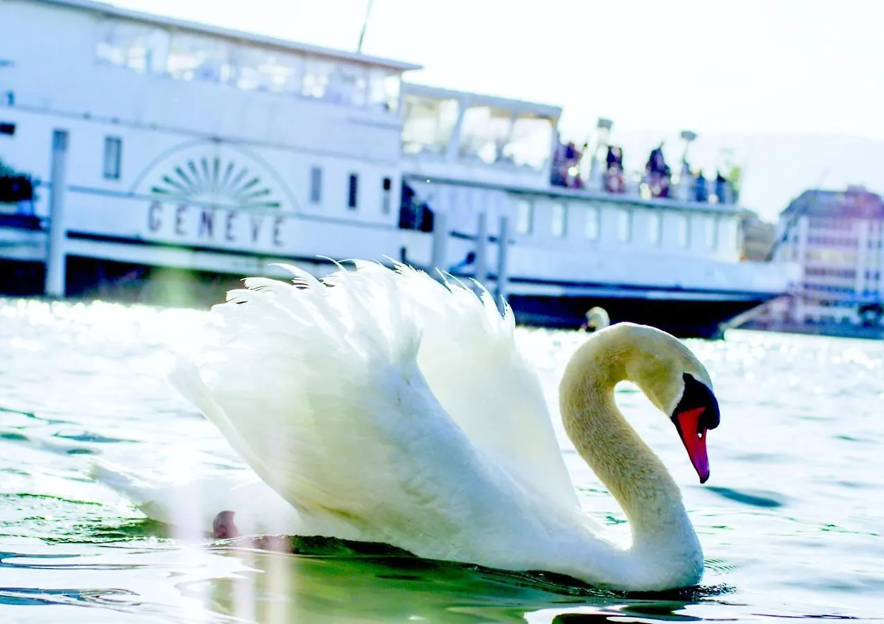 ****  Hotel Cornavin Geneva Switzerland